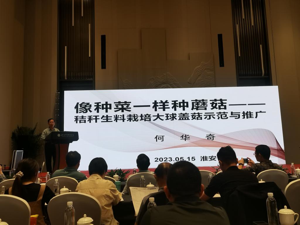 香港彩六宝典资料