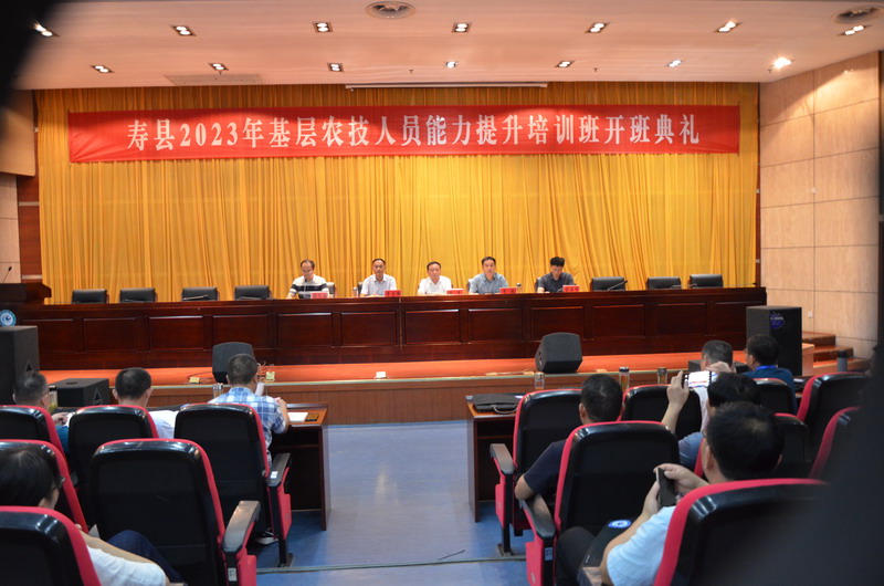香港彩六宝典资料