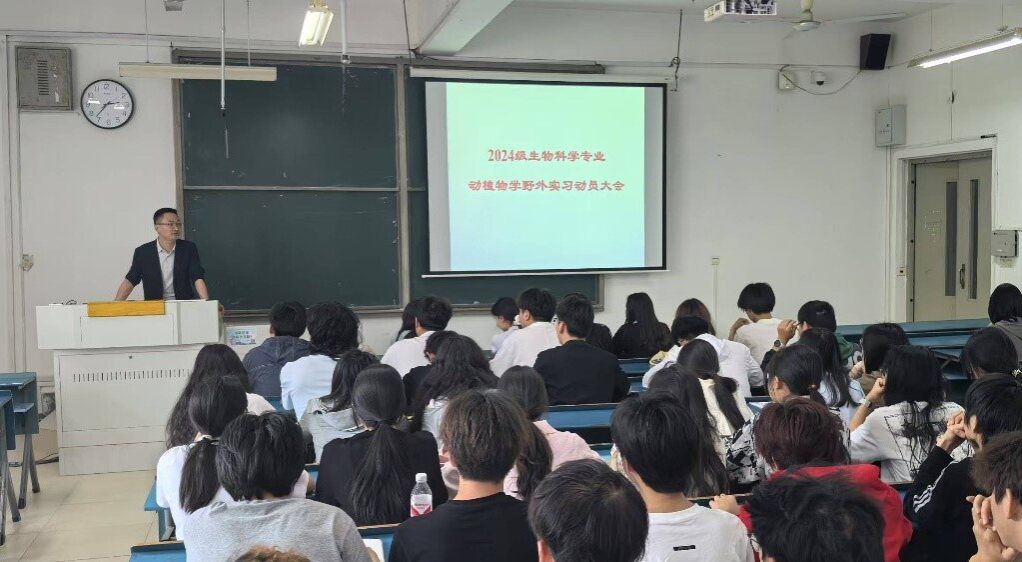 香港彩六宝典资料