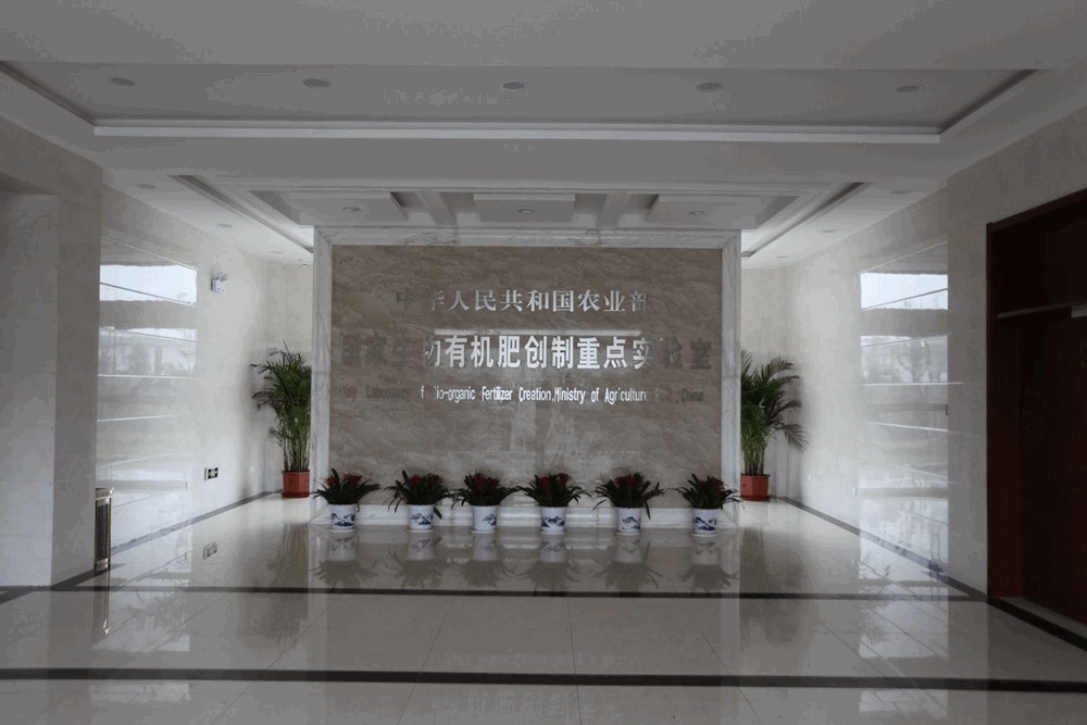 香港彩六宝典资料