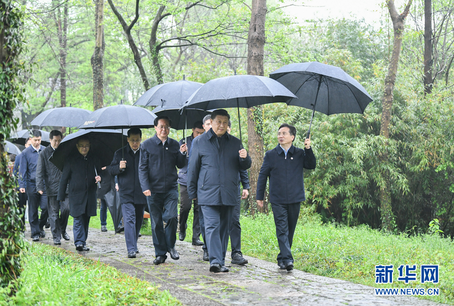 香港彩六宝典资料