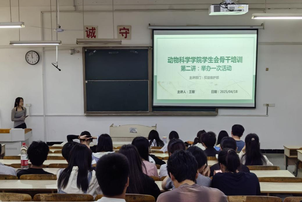香港彩六宝典资料