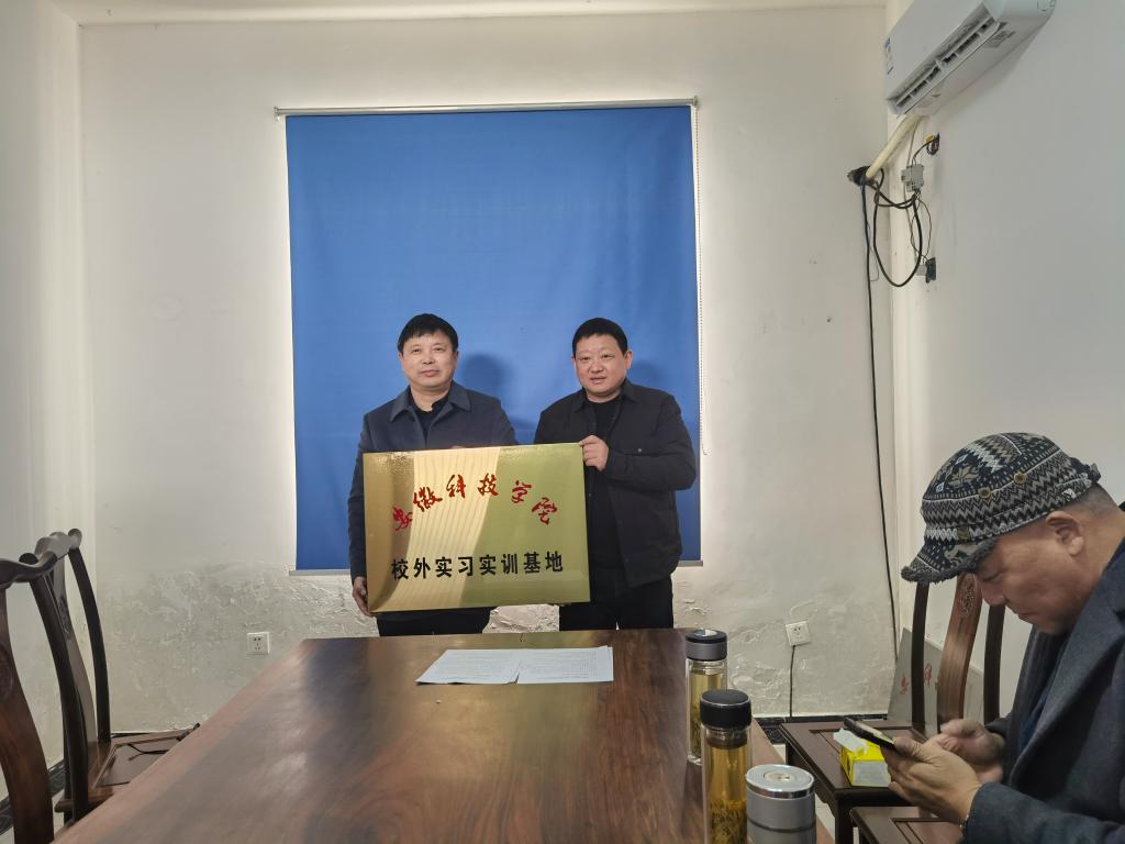 香港彩六宝典资料