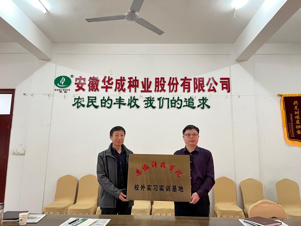 香港彩六宝典资料