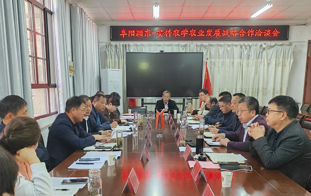 香港彩六宝典资料