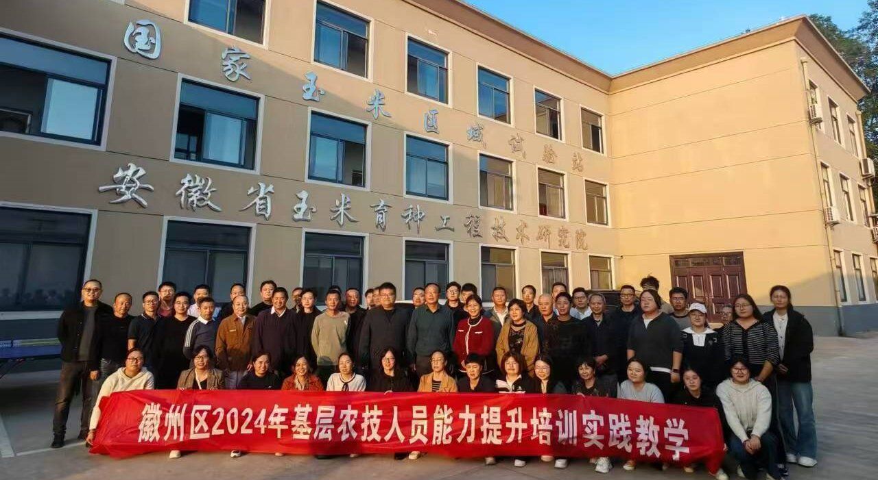 香港彩六宝典资料