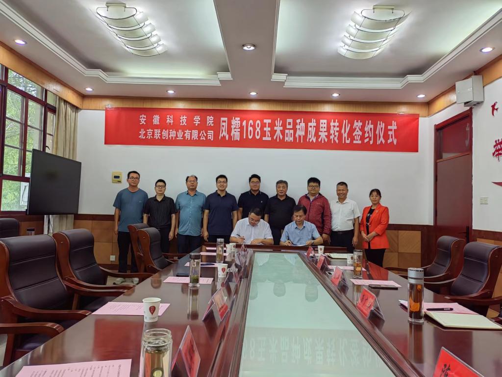 香港彩六宝典资料
