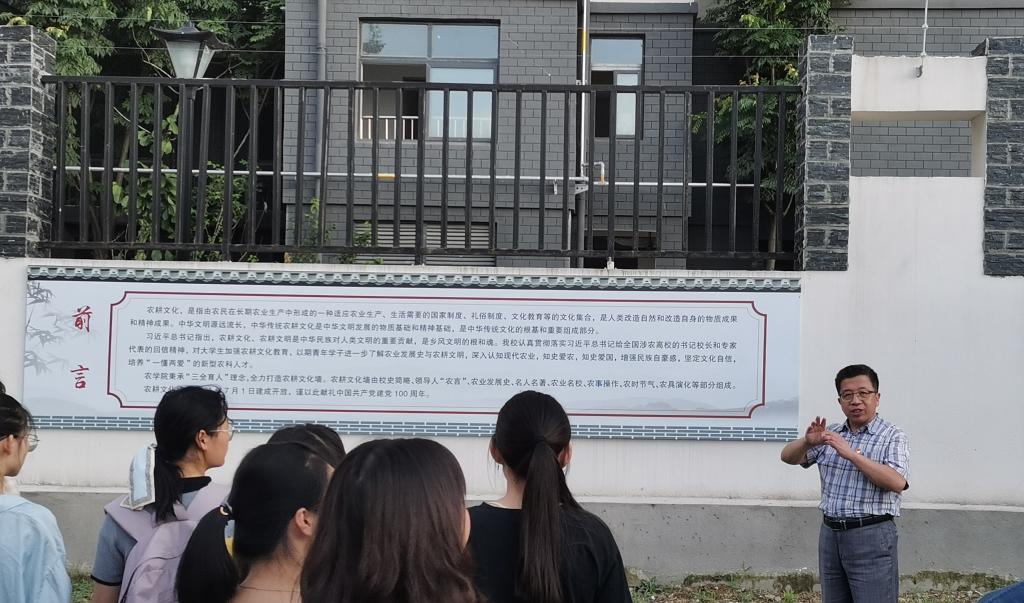 香港彩六宝典资料