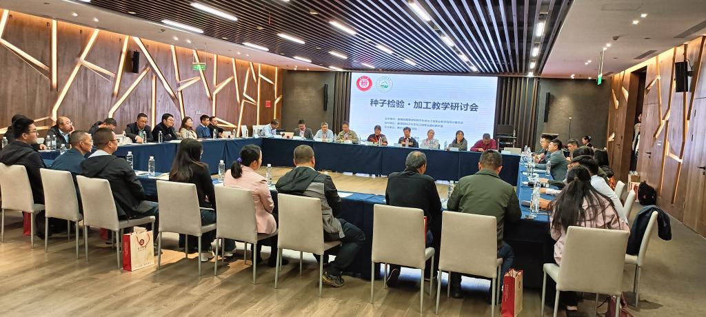 香港彩六宝典资料