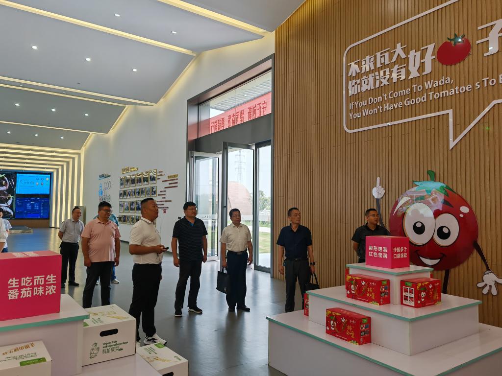 香港彩六宝典资料