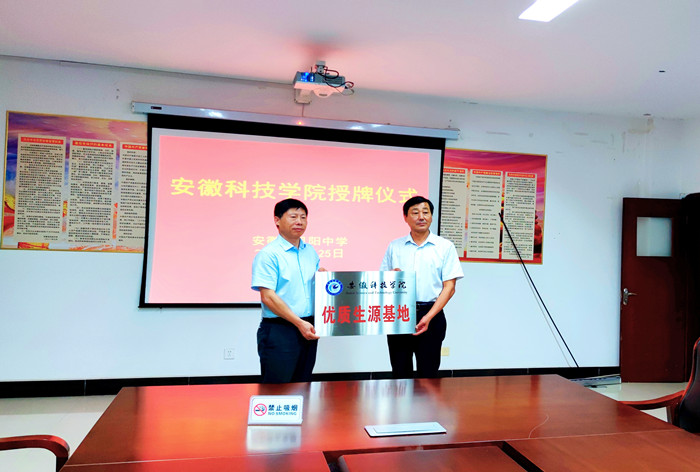 香港彩六宝典资料