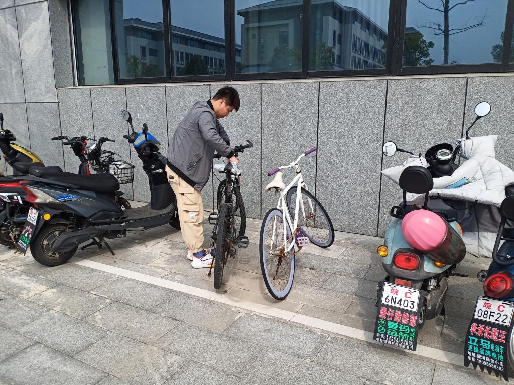 香港彩六宝典资料