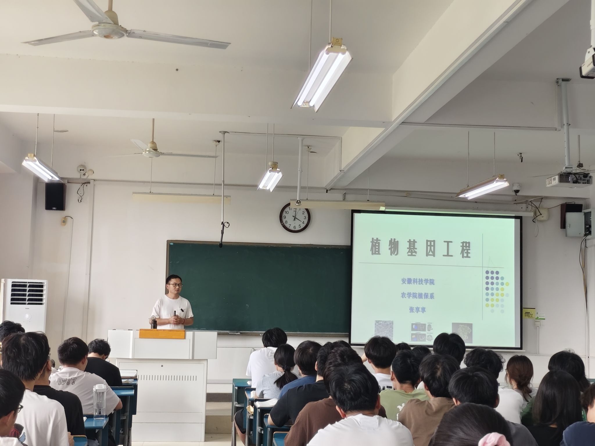 香港彩六宝典资料