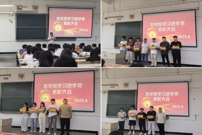 香港彩六宝典资料