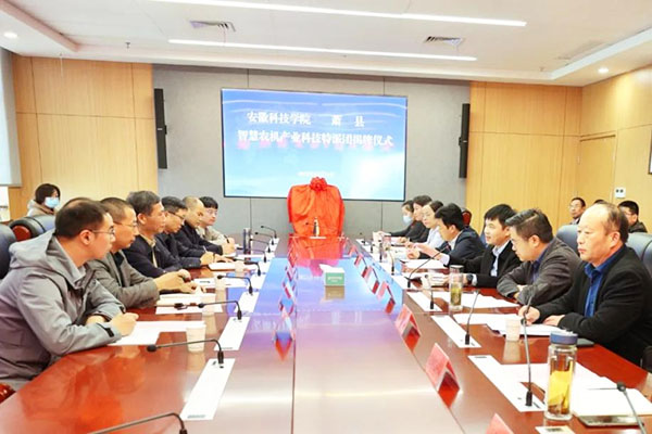 香港彩六宝典资料