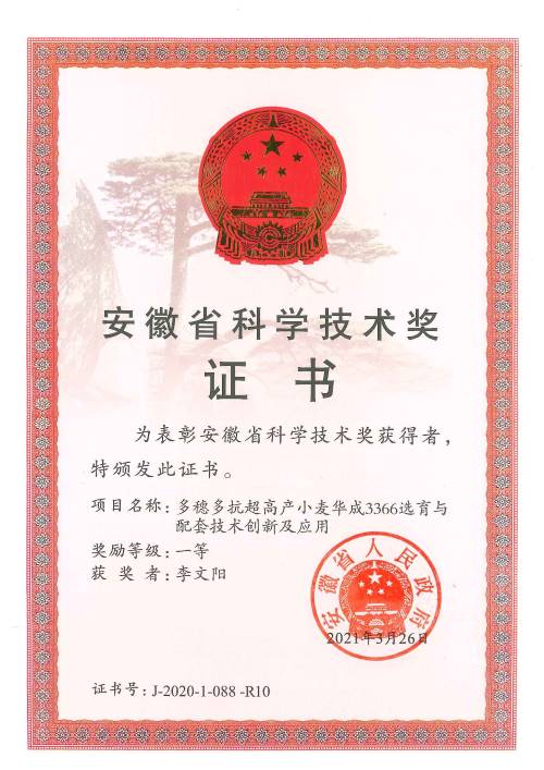 香港彩六宝典资料