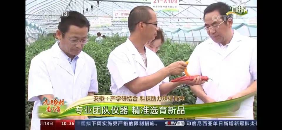 香港彩六宝典资料