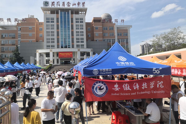 香港彩六宝典资料