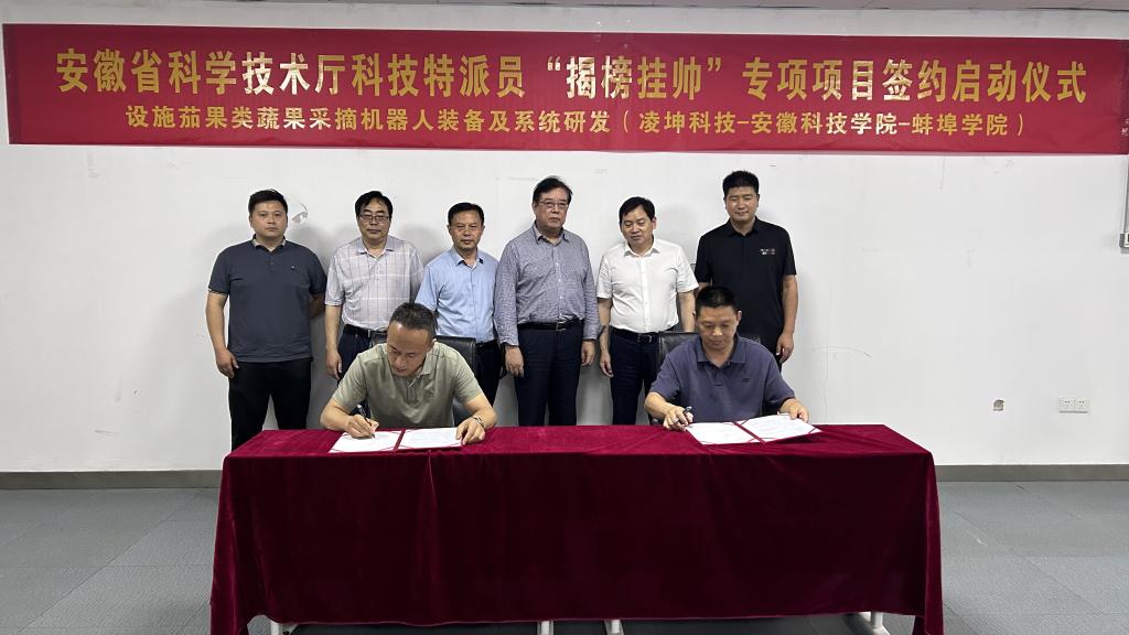 香港彩六宝典资料