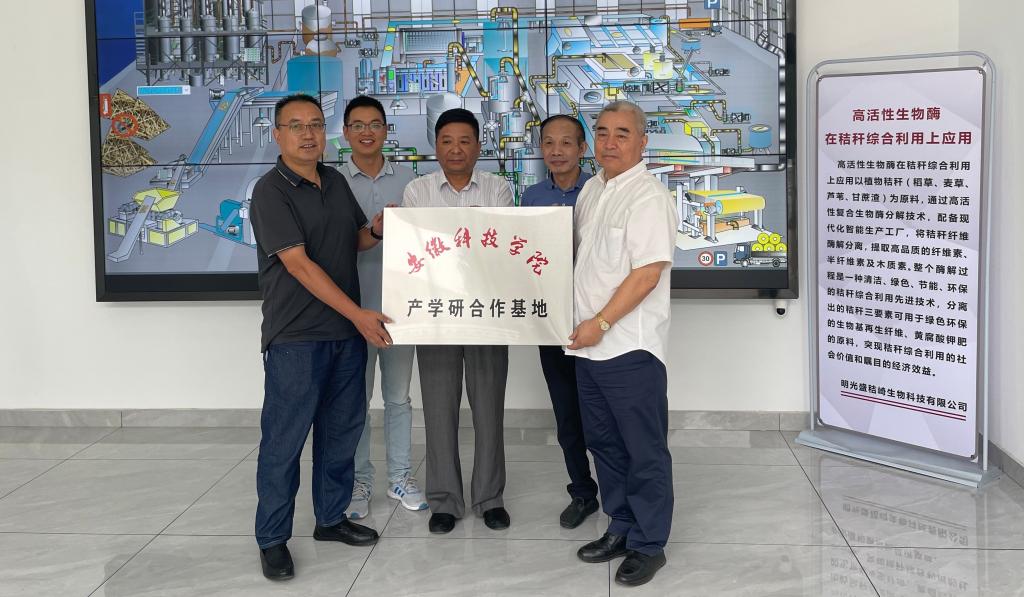 香港彩六宝典资料
