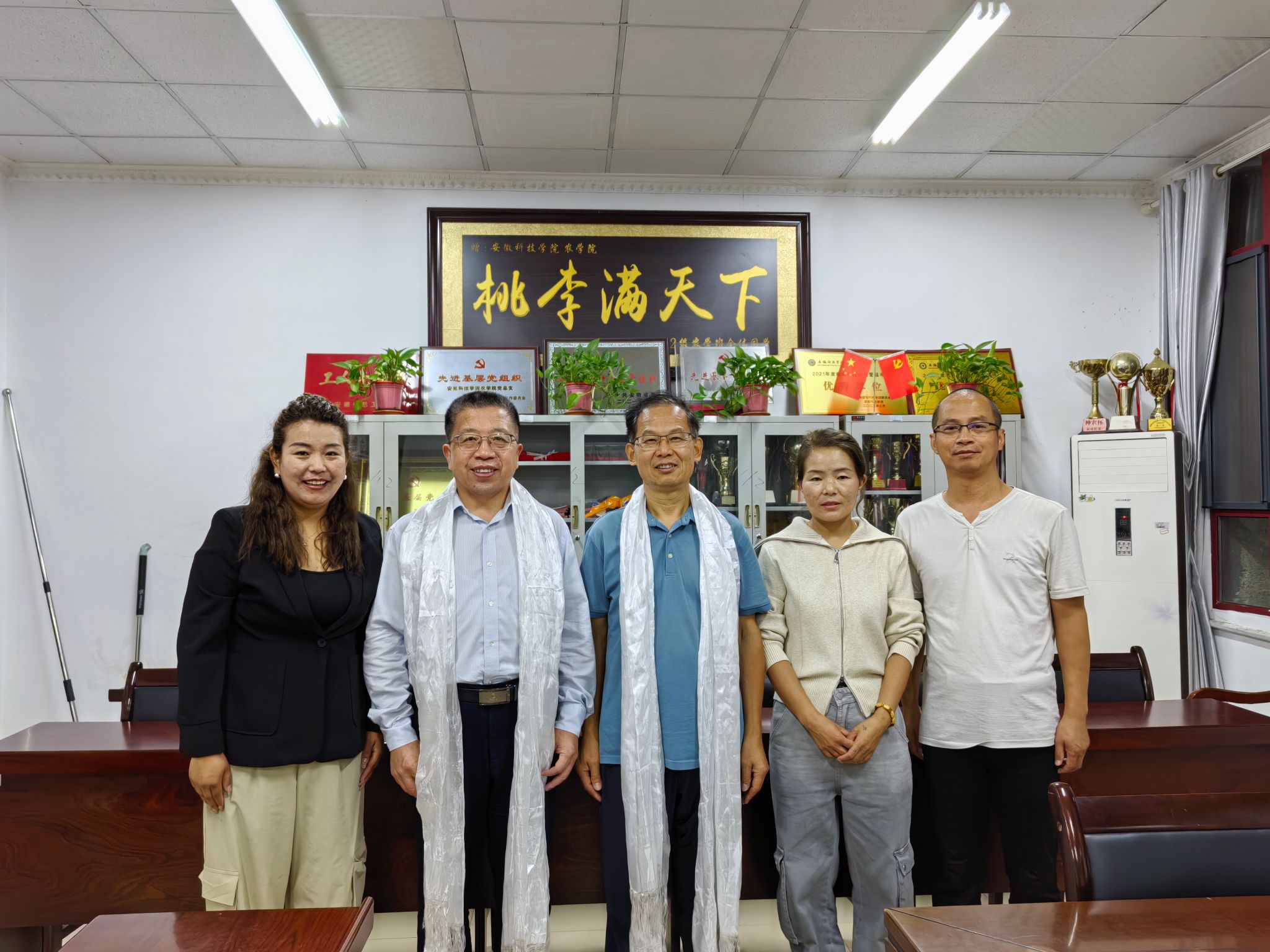 香港彩六宝典资料