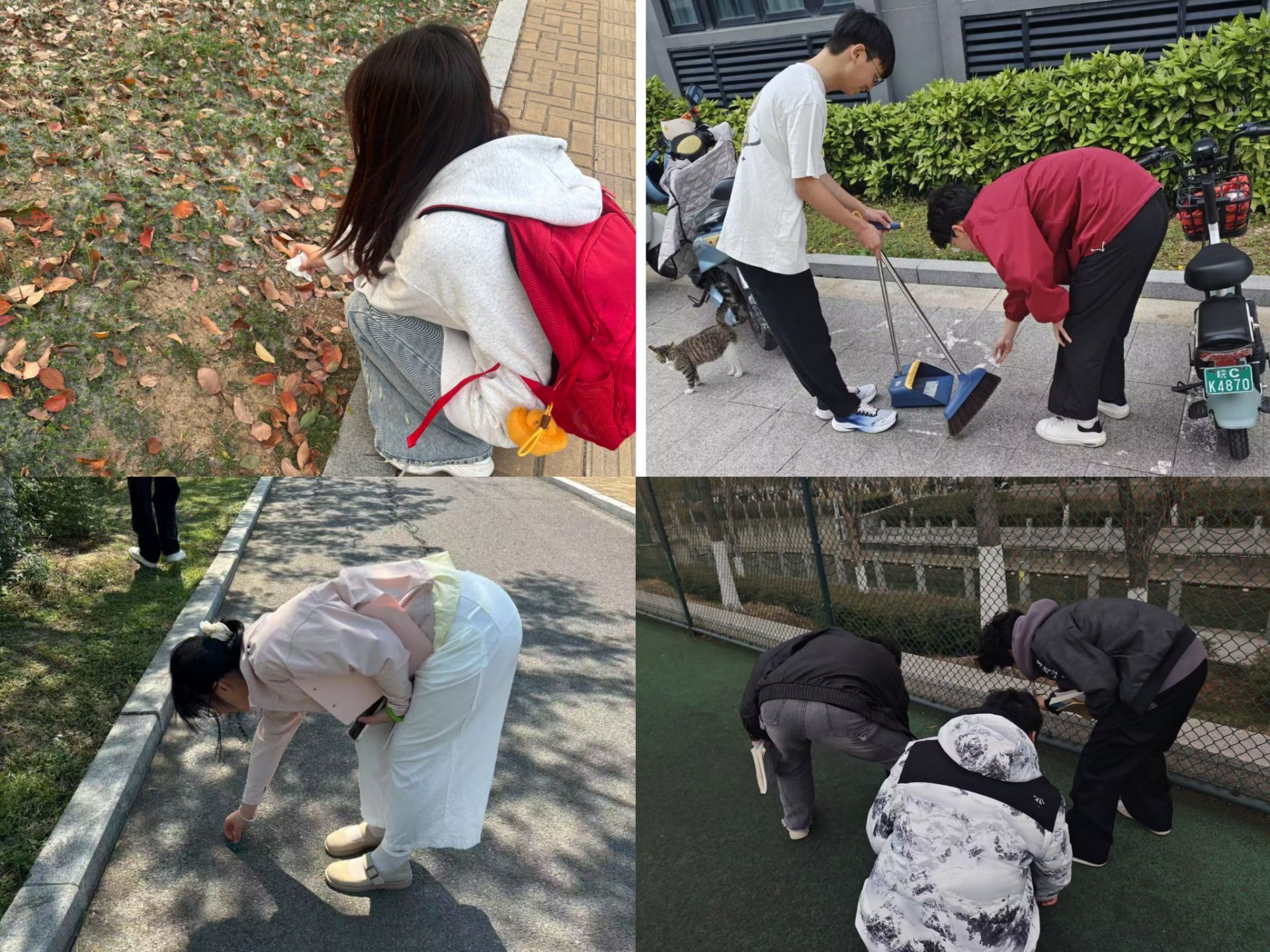 香港彩六宝典资料