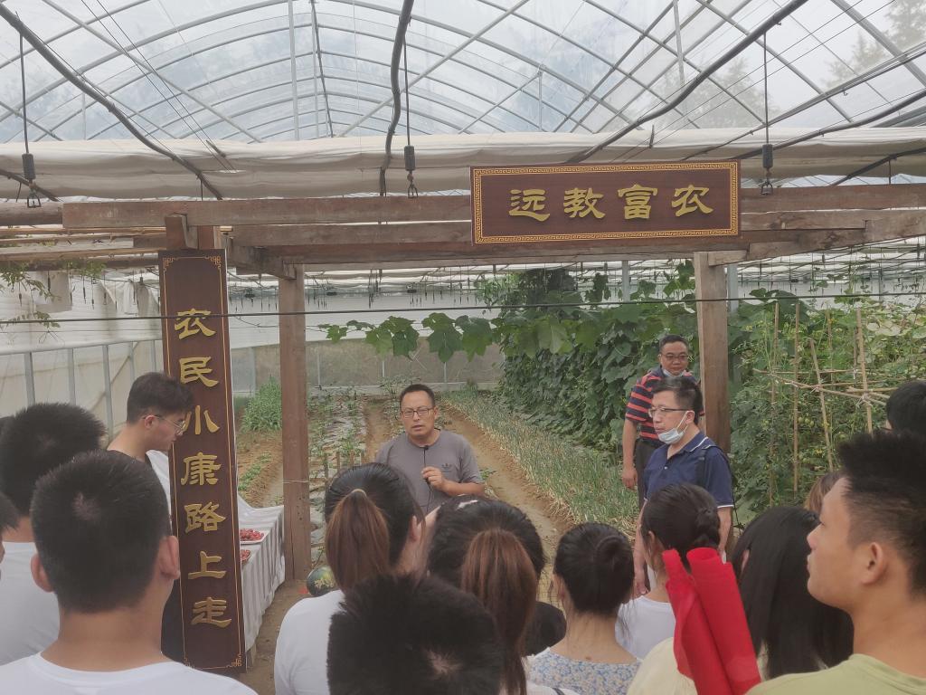 香港彩六宝典资料