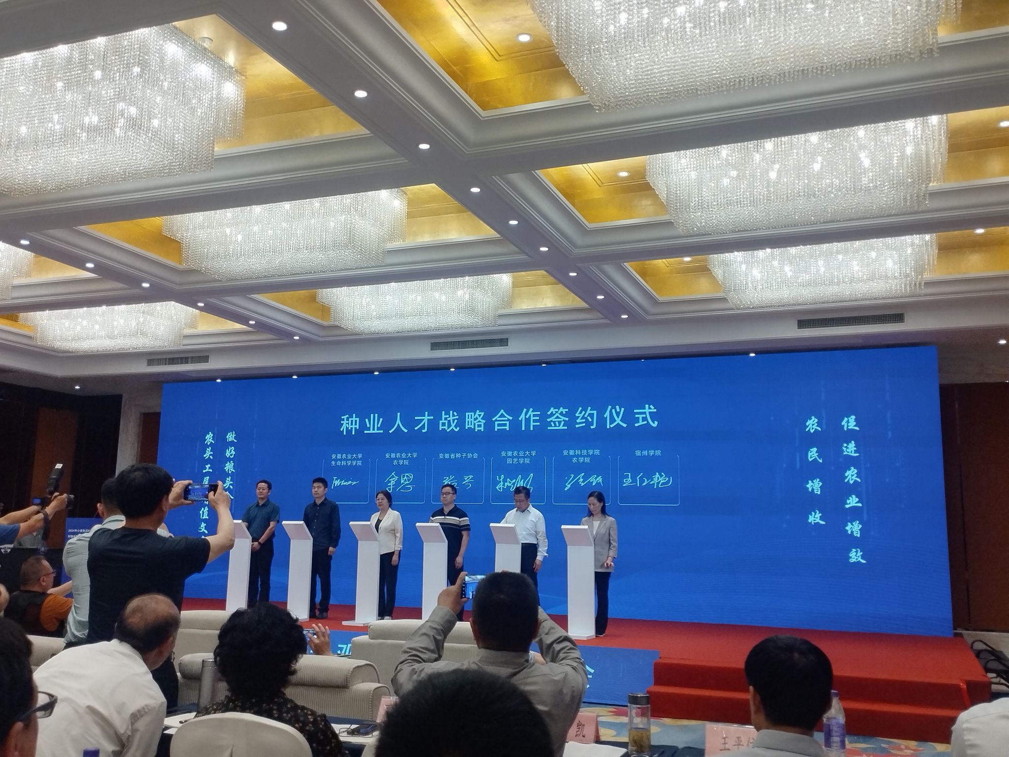 香港彩六宝典资料