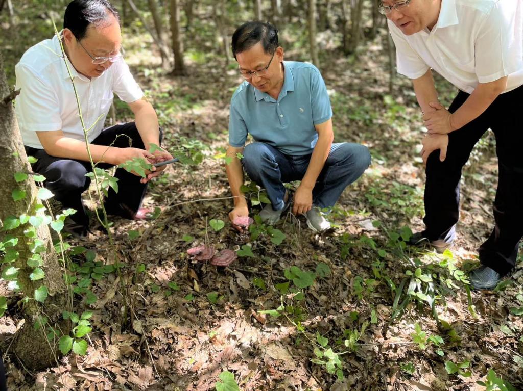 香港彩六宝典资料