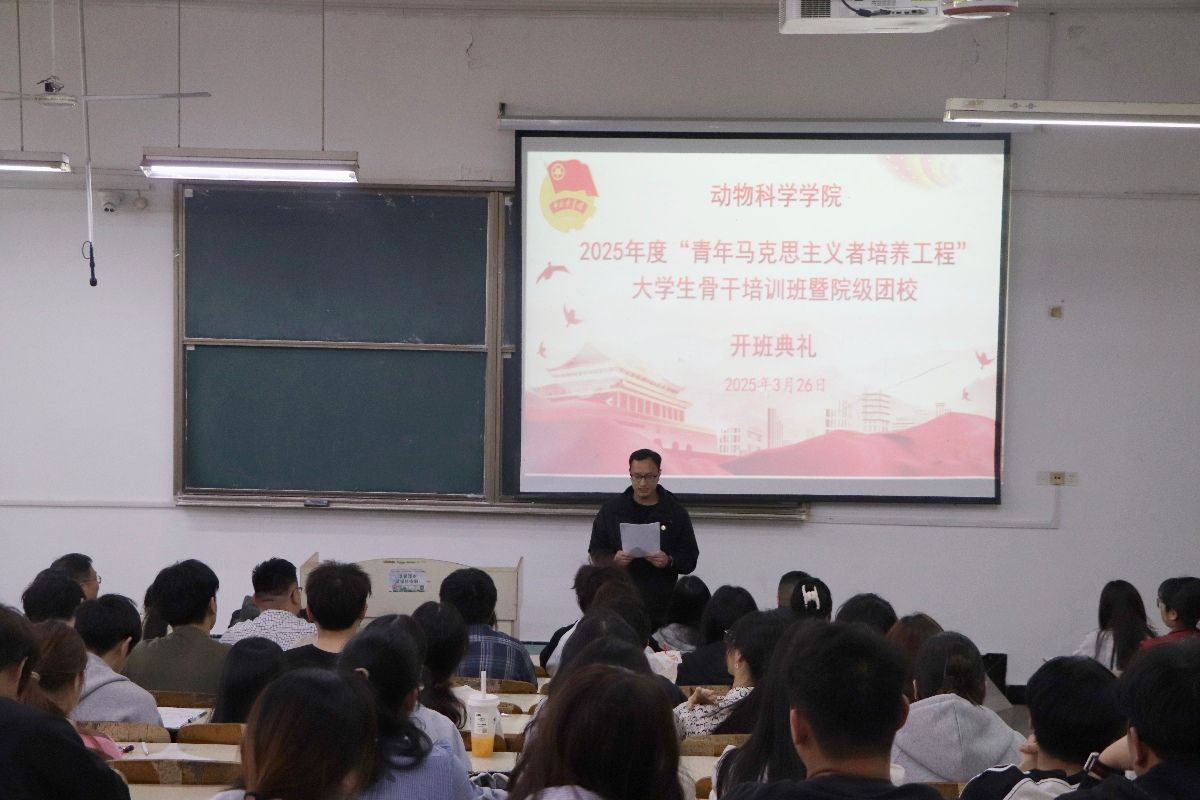香港彩六宝典资料