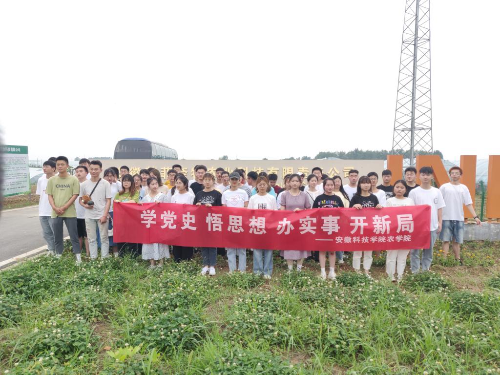 香港彩六宝典资料
