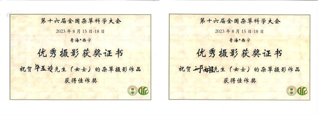 香港彩六宝典资料