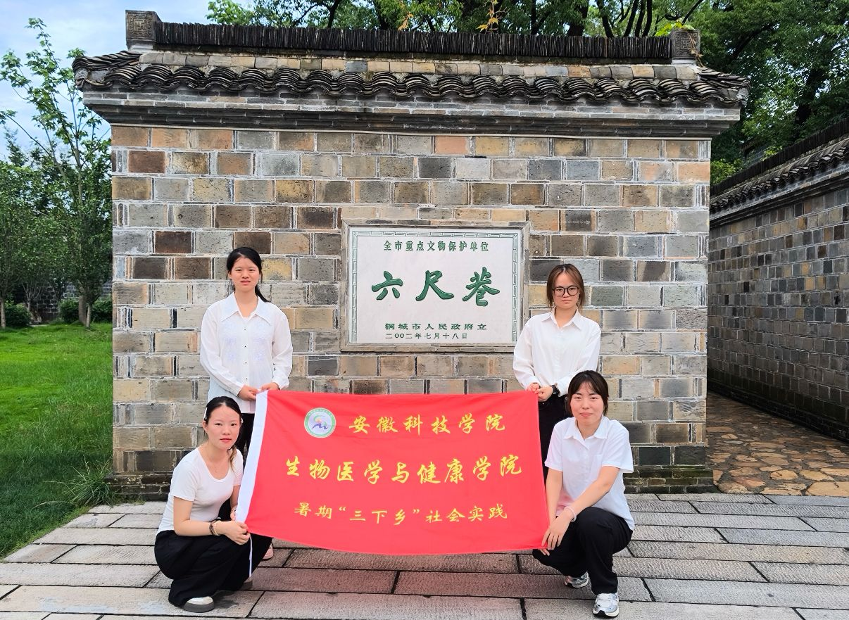 香港彩六宝典资料