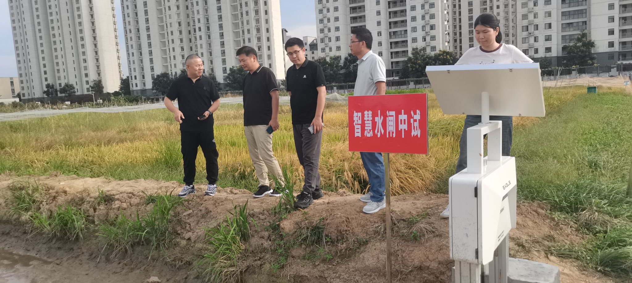 香港彩六宝典资料