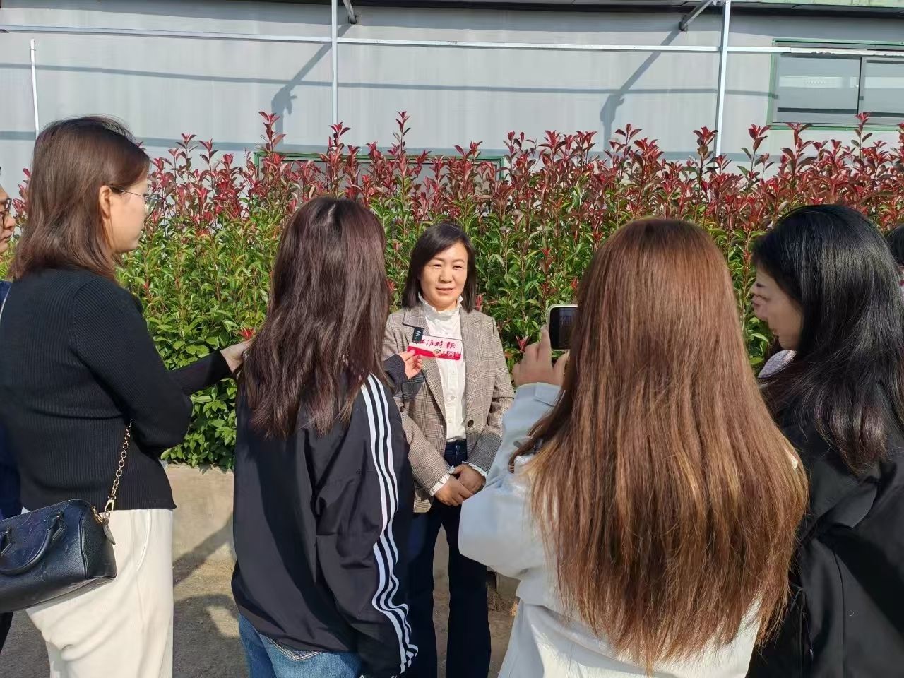 香港彩六宝典资料