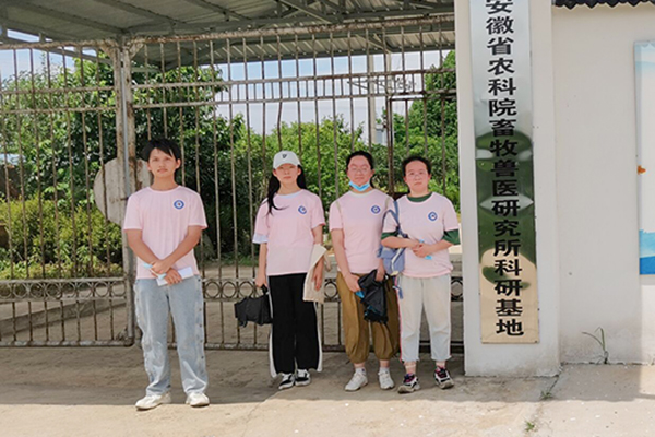 香港彩六宝典资料