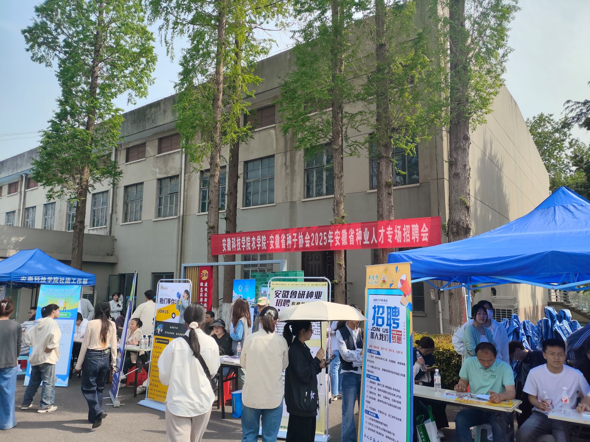 香港彩六宝典资料