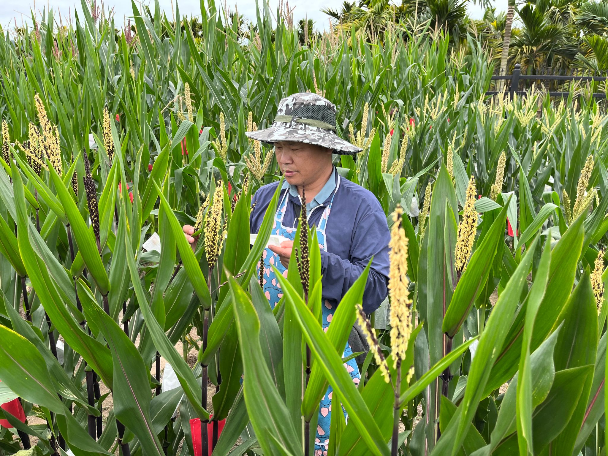 香港彩六宝典资料