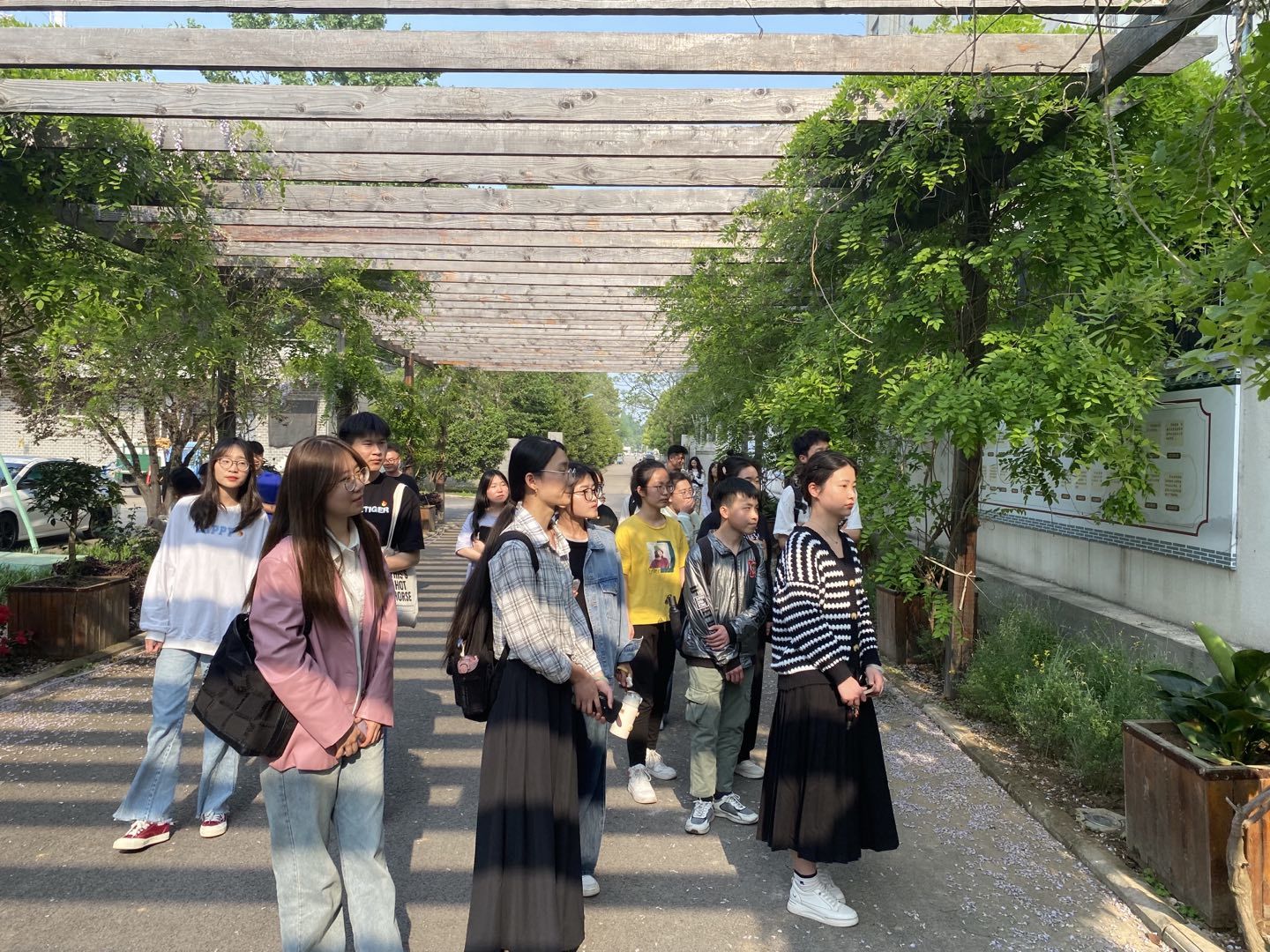 香港彩六宝典资料