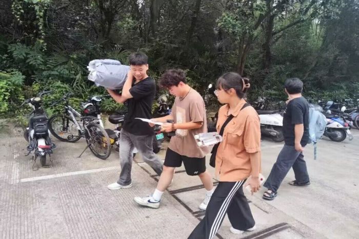 香港彩六宝典资料