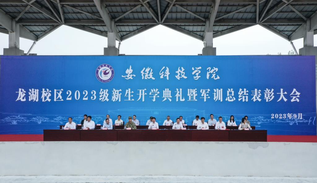 香港彩六宝典资料