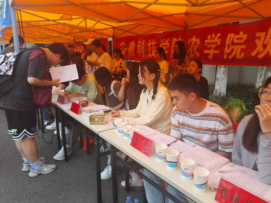 香港彩六宝典资料
