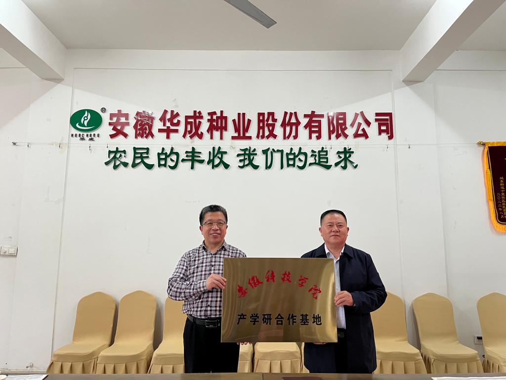 香港彩六宝典资料