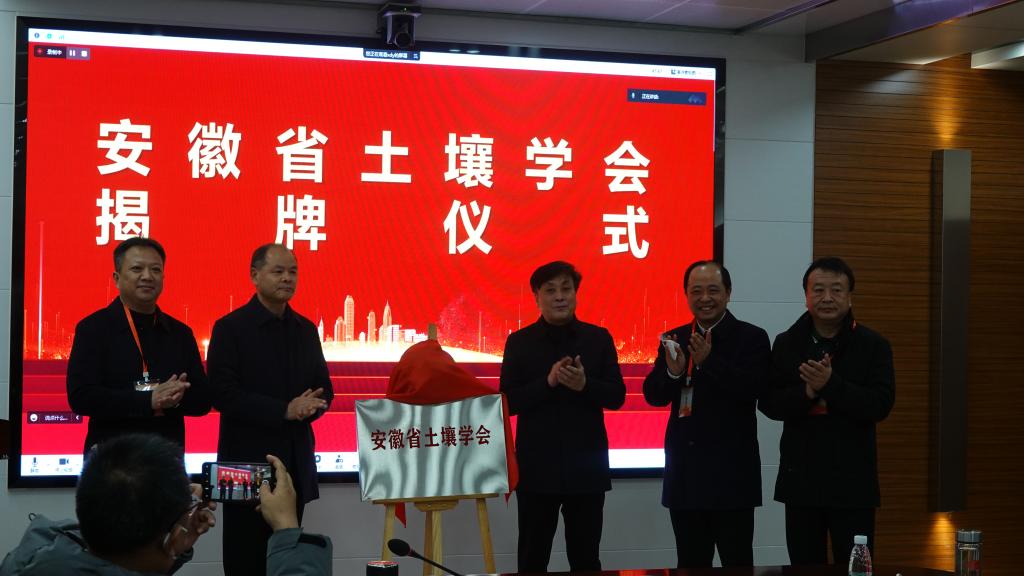 香港彩六宝典资料