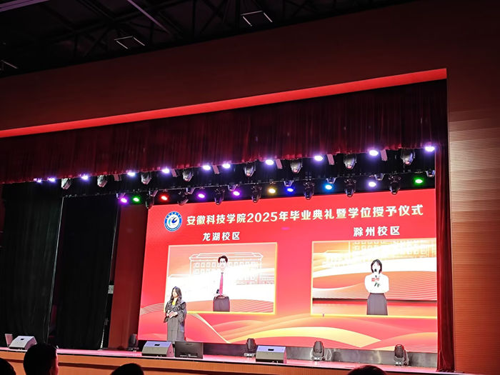 香港彩六宝典资料