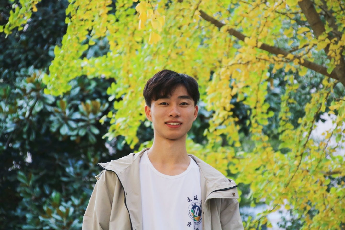 香港彩六宝典资料