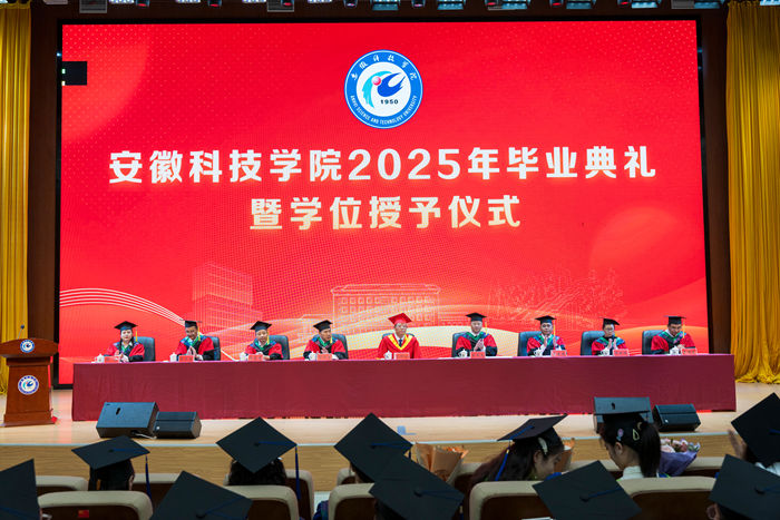 香港彩六宝典资料