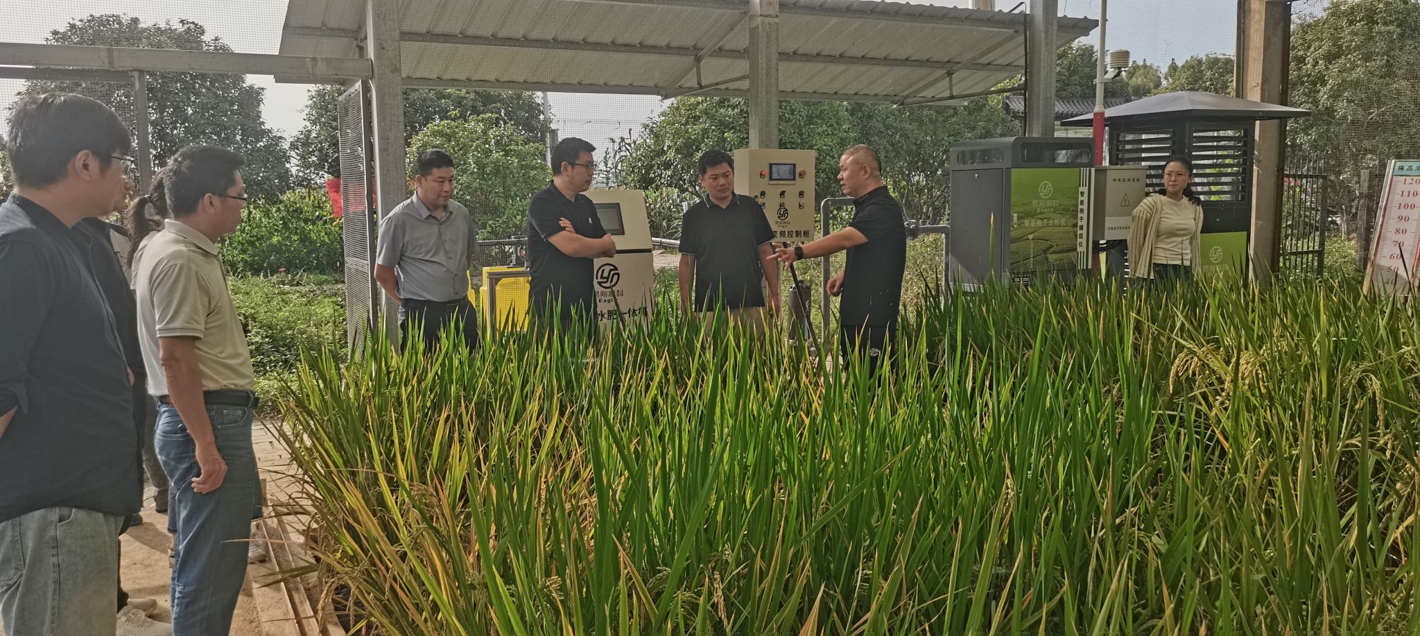 香港彩六宝典资料