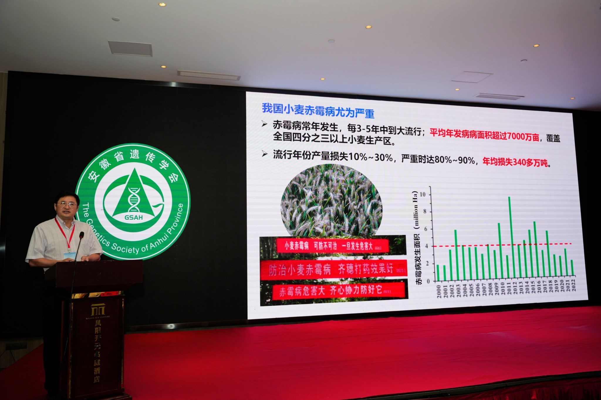 香港彩六宝典资料