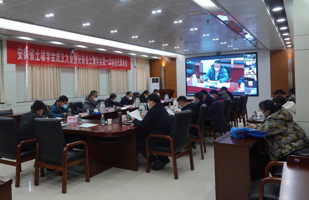 香港彩六宝典资料